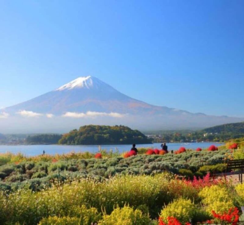 From Tokyo: Mount Fuji Private Tour with English Guide - FAQ
