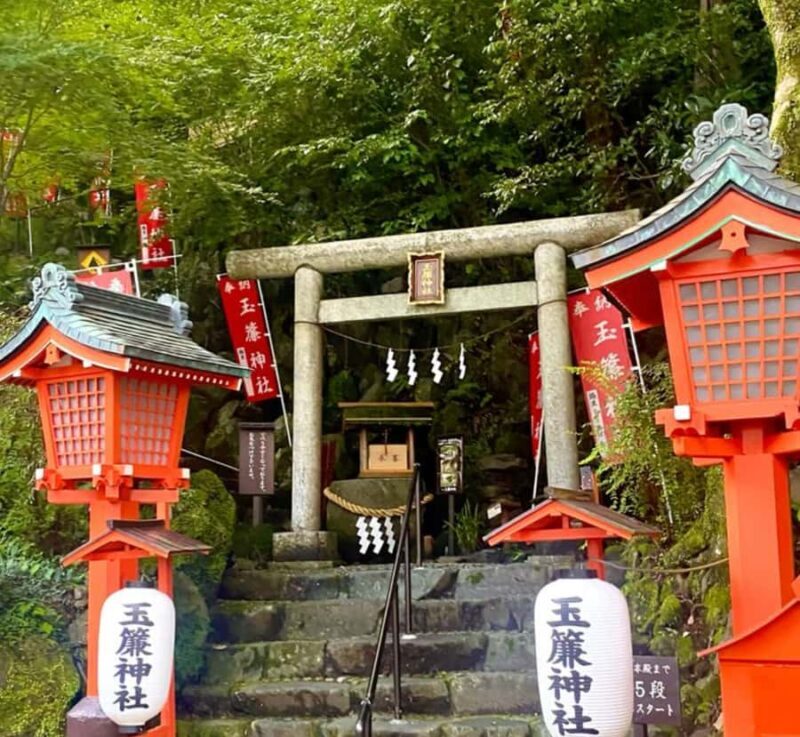 From Tokyo: Mount Fuji Private Tour with English Guide - Final Thoughts