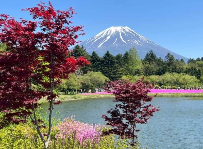From Tokyo: Mount Fuji Private Tour With English speaking Dr - Key Points
