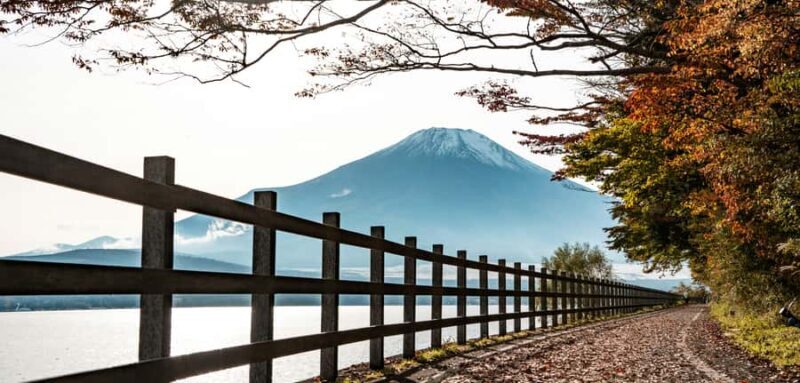 From Tokyo: Mount Fuji Private Tour with Professional Guide - A Deep Dive into the Experience