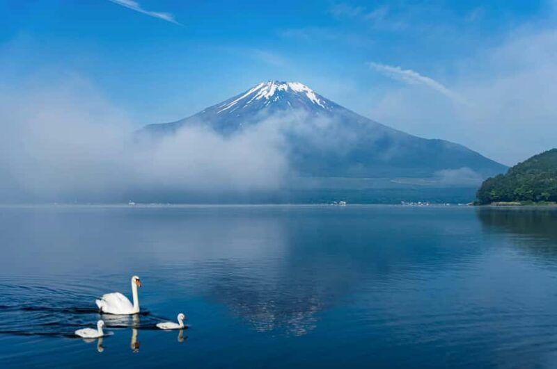 From Tokyo: Mount Fuji Private Tour with Professional Guide - FAQ