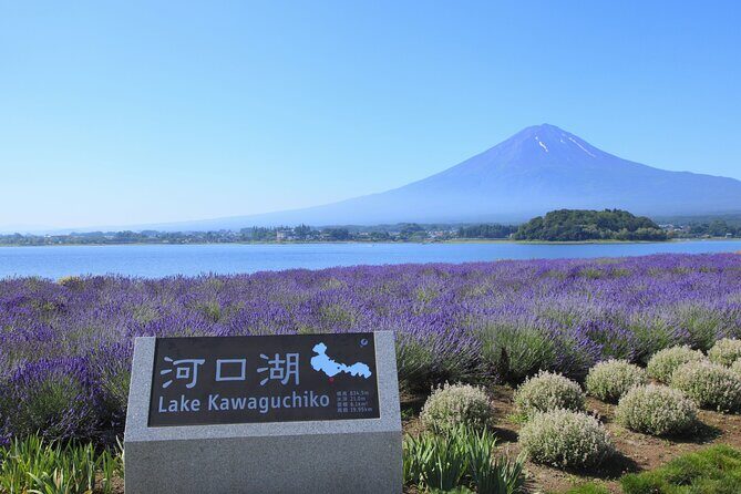 From Tokyo: Mount Fuji Sightseeing Full Day Trip - Key Points