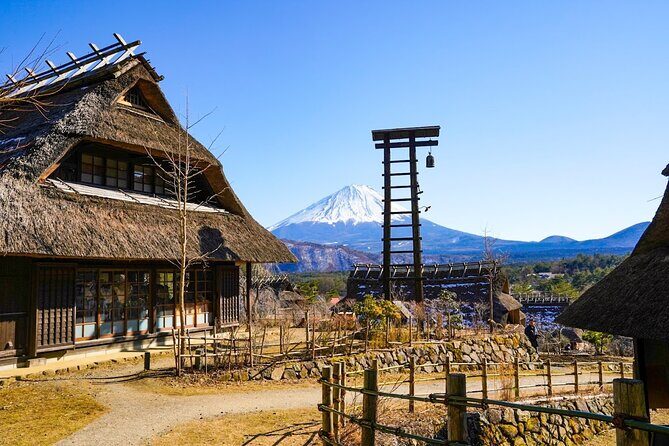 From Tokyo: Mount Fuji Sightseeing Full Day Trip - Who Will Love This Tour?