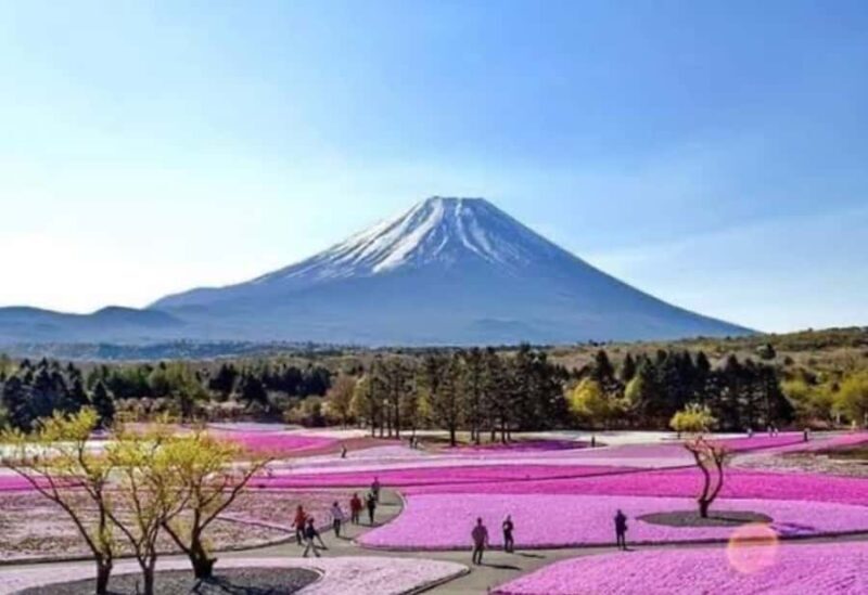 From Tokyo : Mount Fuji Tour With English Guide CUSTOMIZABLE - Exploring the Mount Fuji Day Tour: What You Can Expect