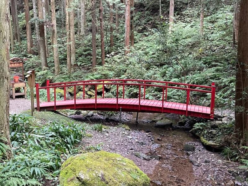 From Tokyo: Mountain Ridge Hike & Scenic Waterfall Day Tour - An In-Depth Look at the Tour Experience