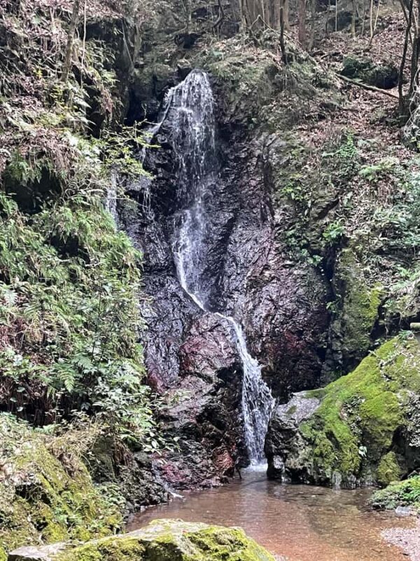 From Tokyo: Mountain Ridge Hike & Scenic Waterfall Day Tour - Who Will Love This Experience?