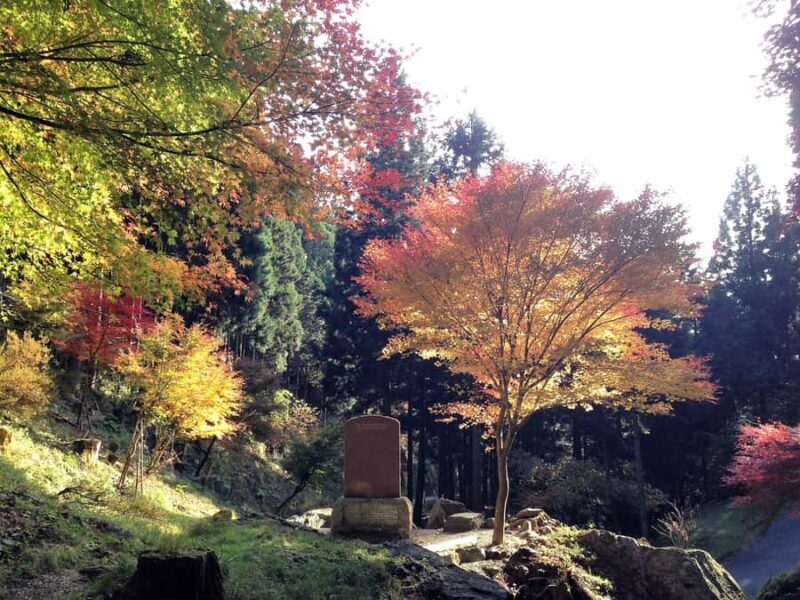 From Tokyo: Mountain Ridge Hike & Scenic Waterfall Day Tour - Final Thoughts