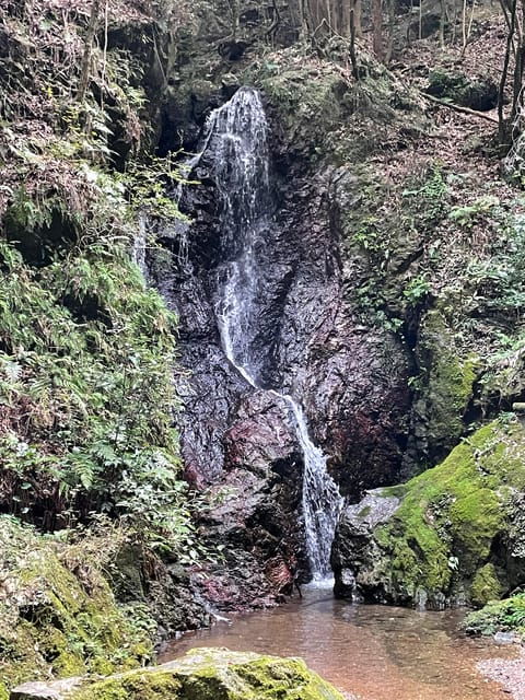 from-tokyo-mountain-ridge-hike-scenic-waterfall-day-tour