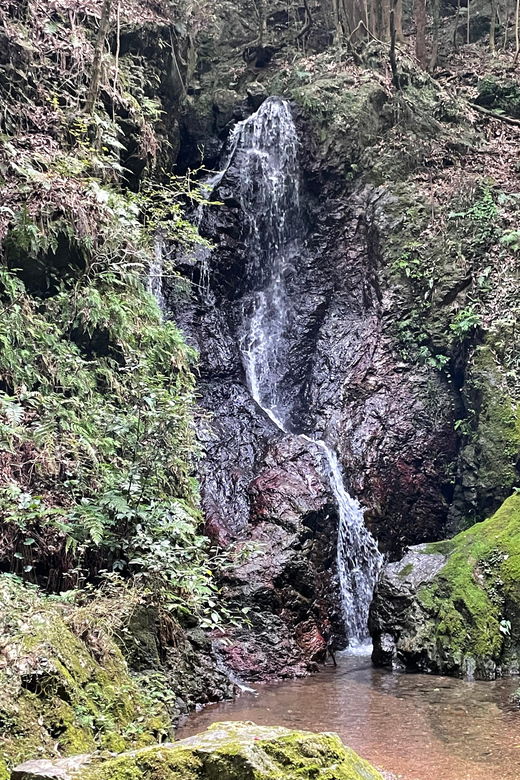 from-tokyo-mountain-ridge-hike-scenic-waterfall-day-tour