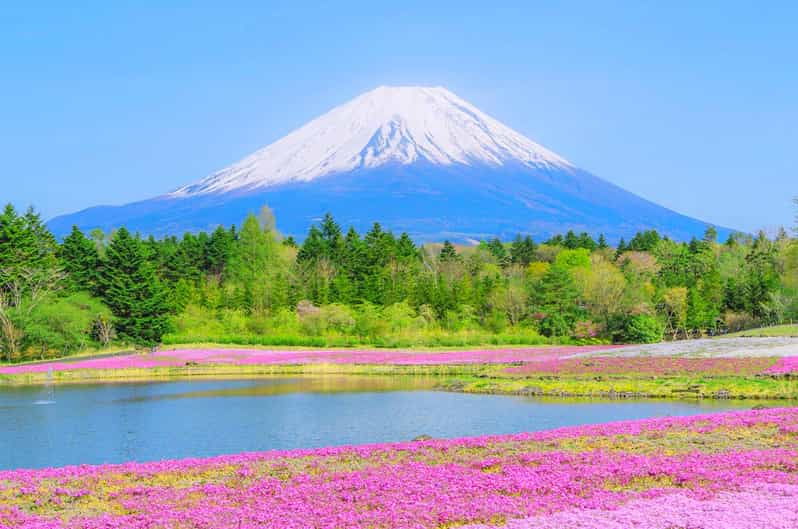 from-tokyo-mt-fuji-5th-oshino-hakkai-onsen-full-day-trip