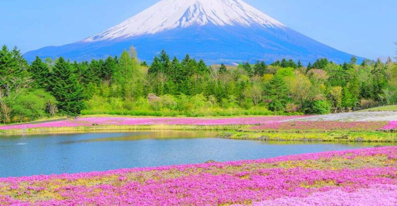 from-tokyo-mt-fuji-5th-oshino-hakkai-onsen-full-day-trip