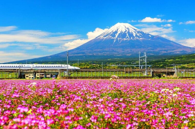 from-tokyo-mt-fuji-5th-oshino-hakkai-onsen-full-day-trip