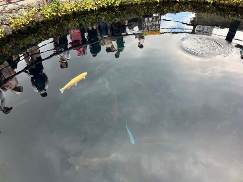 From Tokyo: Mt. Fuji 5th station and Oshino Hakkai Day Trip - An In-Depth Look at the Tour Experience