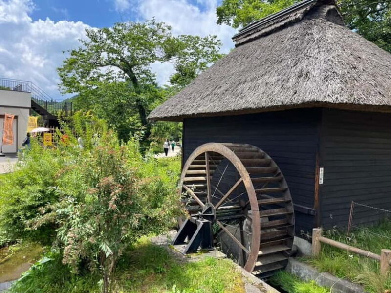 From Tokyo: Mt. Fuji 5th station and Oshino Hakkai Day Trip - Practical Details and Tips