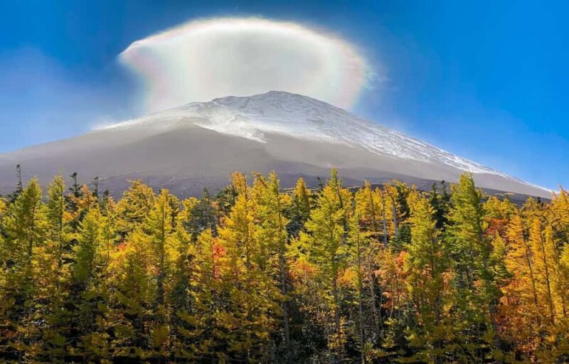 From Tokyo: Mt. Fuji 5th Station & Hot Spring Day Trip - Practical Tips for the Tour