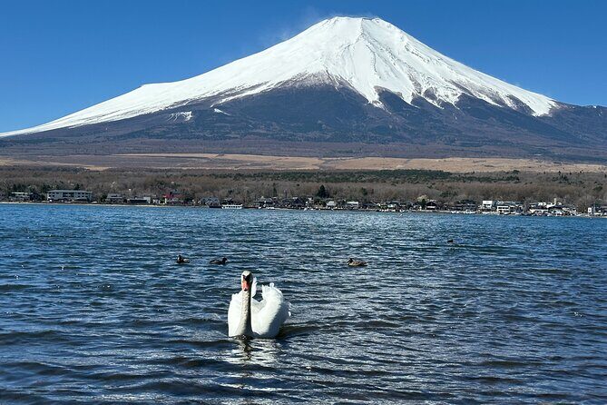 From Tokyo: Mt. Fuji 6 Attractions: Lake Kawaguchi, Oshino Hakkai - Transportation and Comfort
