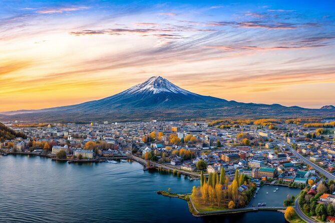 from-tokyo-mt-fuji-and-hakone-private-day-trip