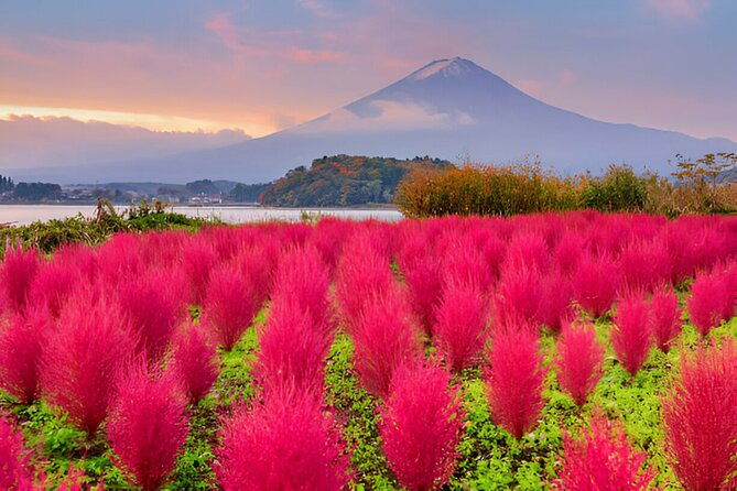 from-tokyo-mt-fuji-and-hakone-private-day-trip