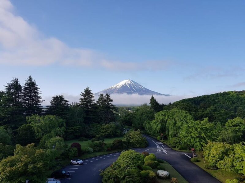 From Tokyo: Mt. Fuji And Hakone Private Sightseeing Day Trip - Key Points