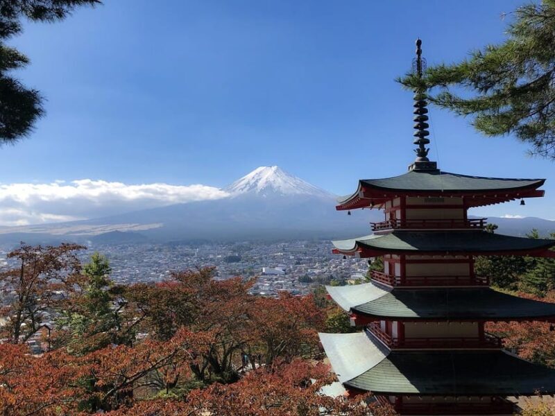 From Tokyo: Mt. Fuji And Hakone Private Sightseeing Day Trip - Authentic Reviews and Insights