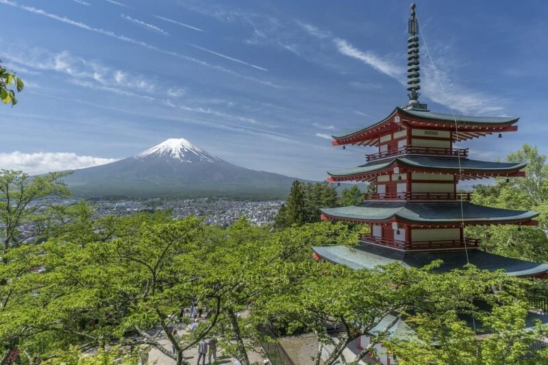 From Tokyo: Mt. Fuji And Hakone Private Sightseeing Day Trip - Who Is This Tour Best For?