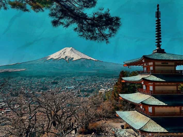 From Tokyo: Mt. Fuji And Hakone Private Sightseeing Day Trip - FAQ