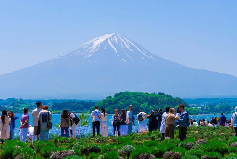 From Tokyo: Mt Fuji, Arakurayama and Kawaguchi Lake Day Trip - Final Thoughts