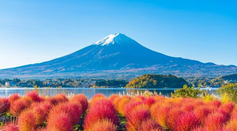 from-tokyo-mt-fuji-day-tour-with-oshino-hakkai-ropeway