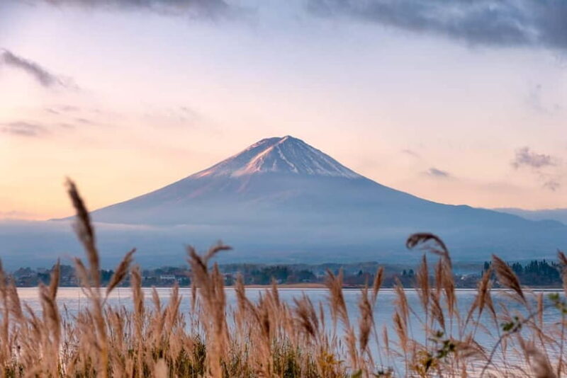 From Tokyo: Mt.Fuji & Gotemba Private Customizable Day Trip. - How the Itinerary Unfolds