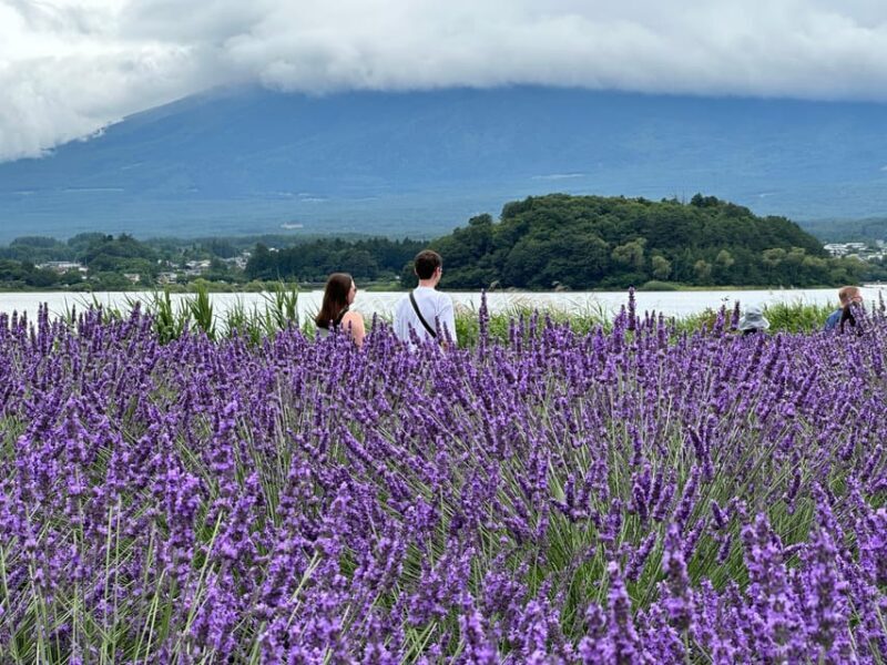 From Tokyo: Mt.Fuji & Gotemba Private Customizable Day Trip. - Final Words