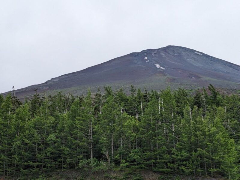 from-tokyo-mt-fuji-hakone-tour-w-return-by-bullet-train