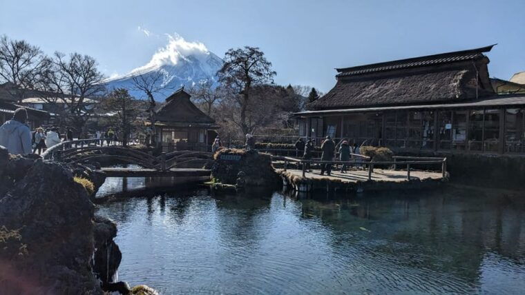 from-tokyo-mt-fuji-hakone-tour-w-return-by-bullet-train