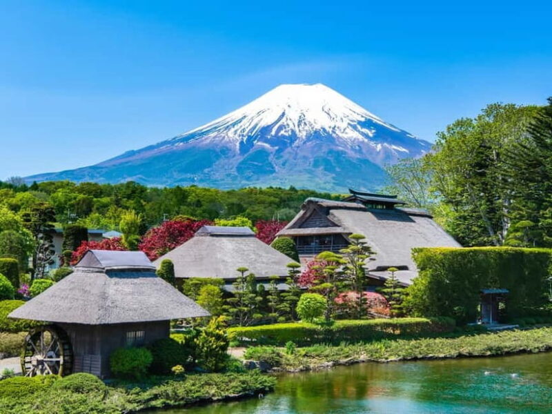 From Tokyo: Mt Fuji & Kawaguchi Lake private day trip - How the Tour Works: An In-Depth Look