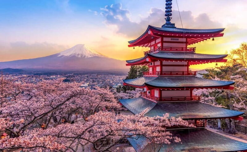 From Tokyo: Mt Fuji & Kawaguchi Lake private day trip - Who Should Consider This Tour?
