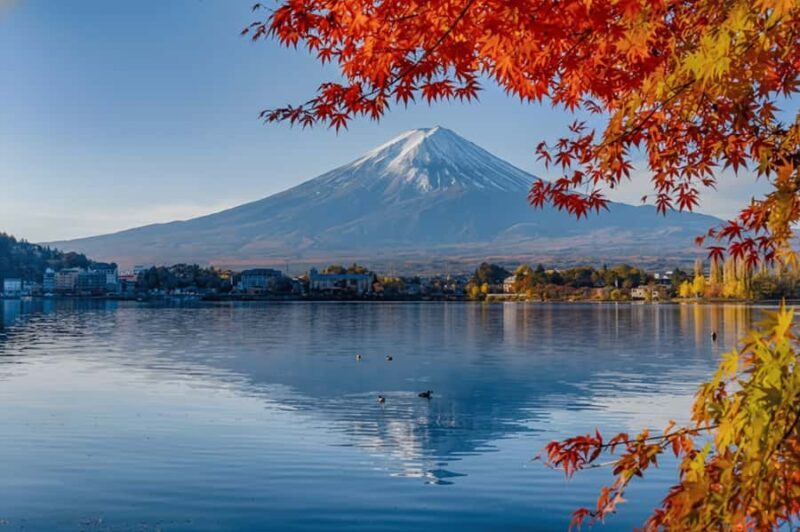 From Tokyo: Mt.Fuji & Kawaguchi & Oshino Hakkai Bus Tour - Key Points