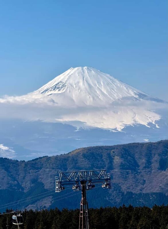From Tokyo: Mt.Fuji & Kawaguchi & Oshino Hakkai Bus Tour - The Bottom Line
