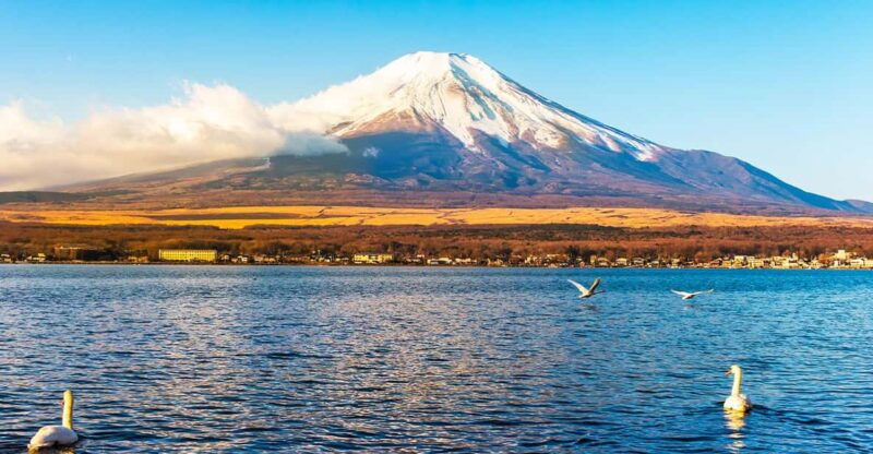 from-tokyo-mt-fuji-lake-kawaguchi-and-yamanaka-day-tour