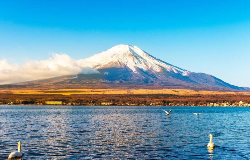 from-tokyo-mt-fuji-lake-kawaguchi-and-yamanaka-day-tour