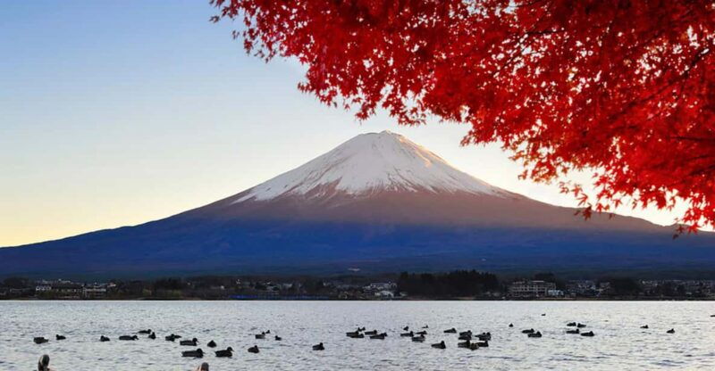from-tokyo-mt-fuji-lake-kawaguchi-oshino-hakkai-day-tour