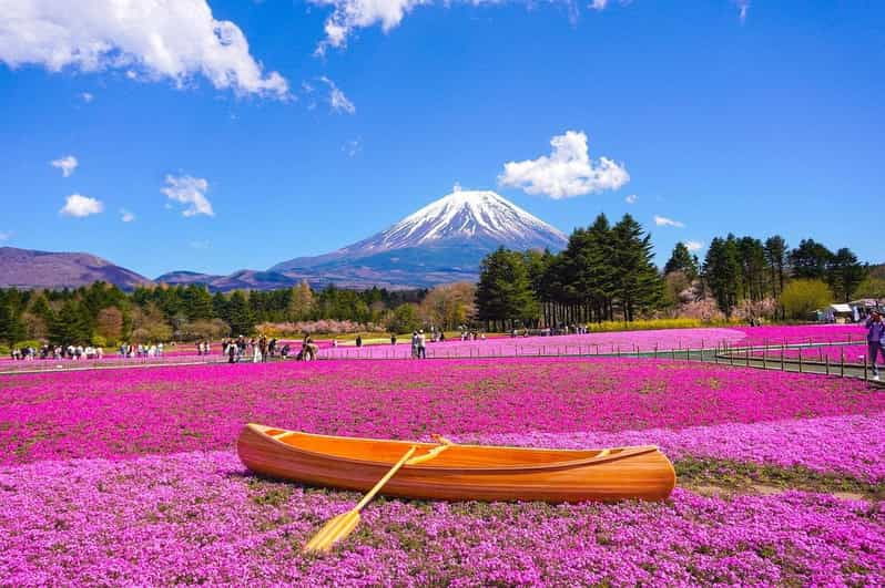 from-tokyo-mt-fuji-lake-kawaguchi-oshino-hakkai-day-trip