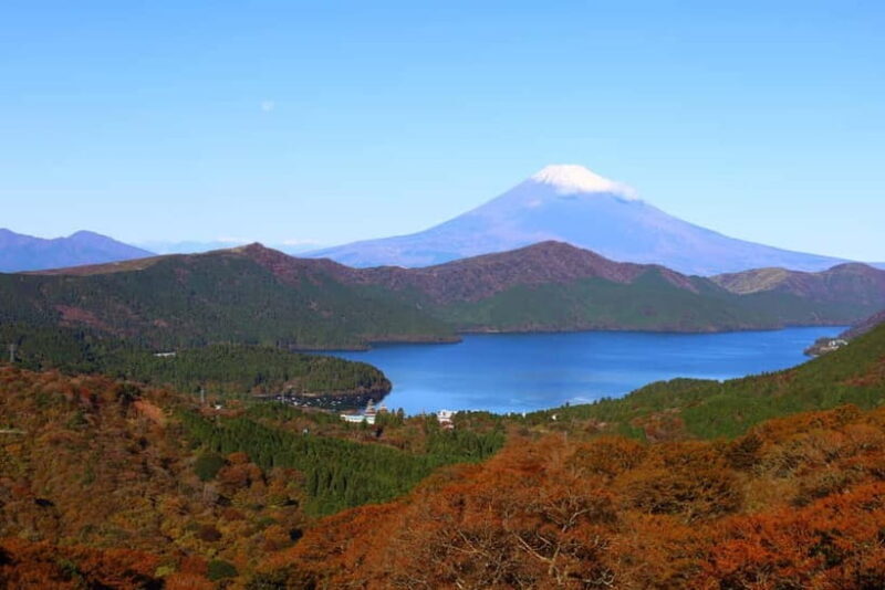 From Tokyo: Mt. Fuji Lawson & Iconic Lakes 1-Day Bus Tour - The Sum Up