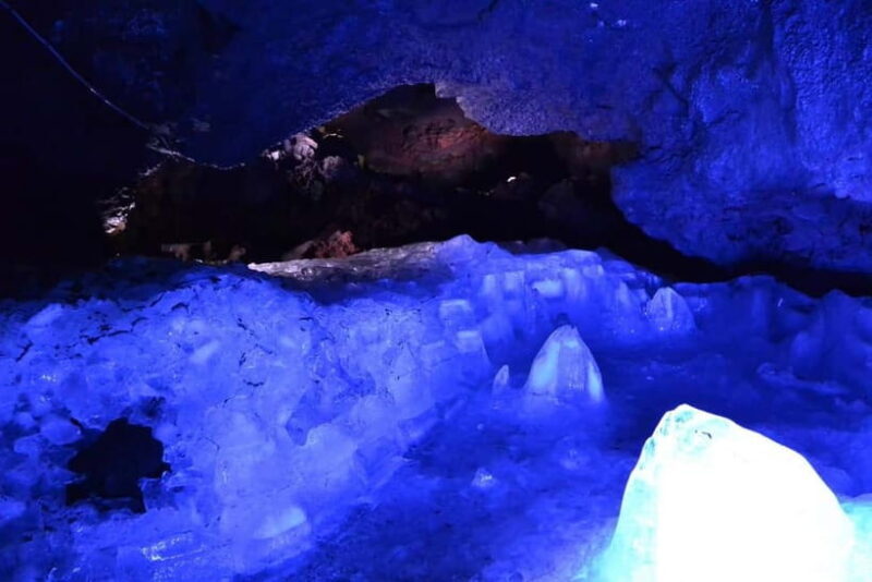 From Tokyo: Mt. Fuji Lawson & Iconic Lakes 1-Day Bus Tour - FAQ