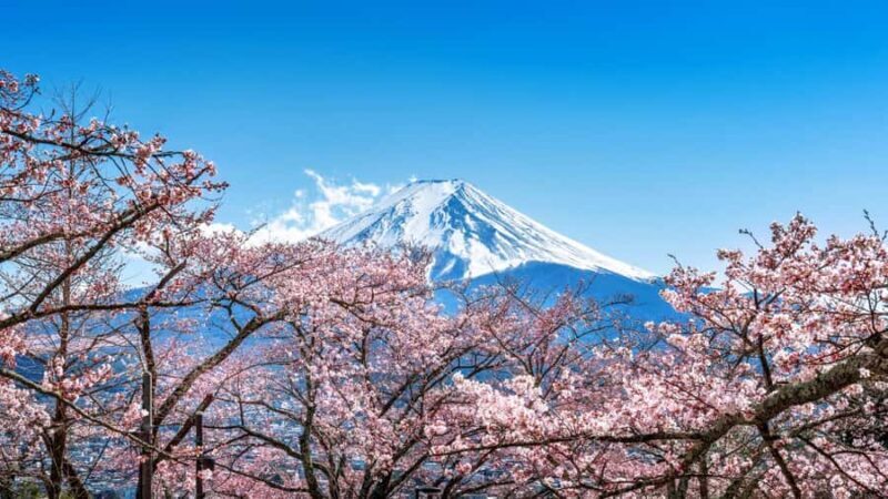 From Tokyo: Mt. Fuji One-Day Private and Customizable Tour - Key Points