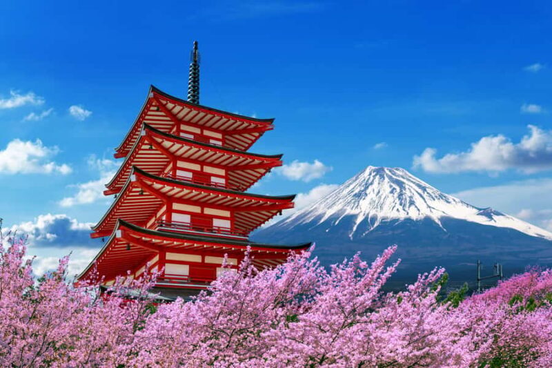 From Tokyo: Mt. Fuji One-Day Private and Customizable Tour - Who Will Love This Tour?