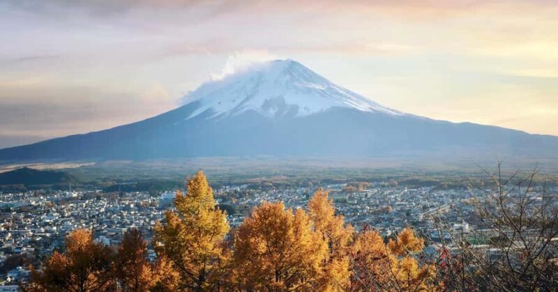 From Tokyo Mt. Fuji Private Tour In Prado Fully Adjustable - Final Thoughts
