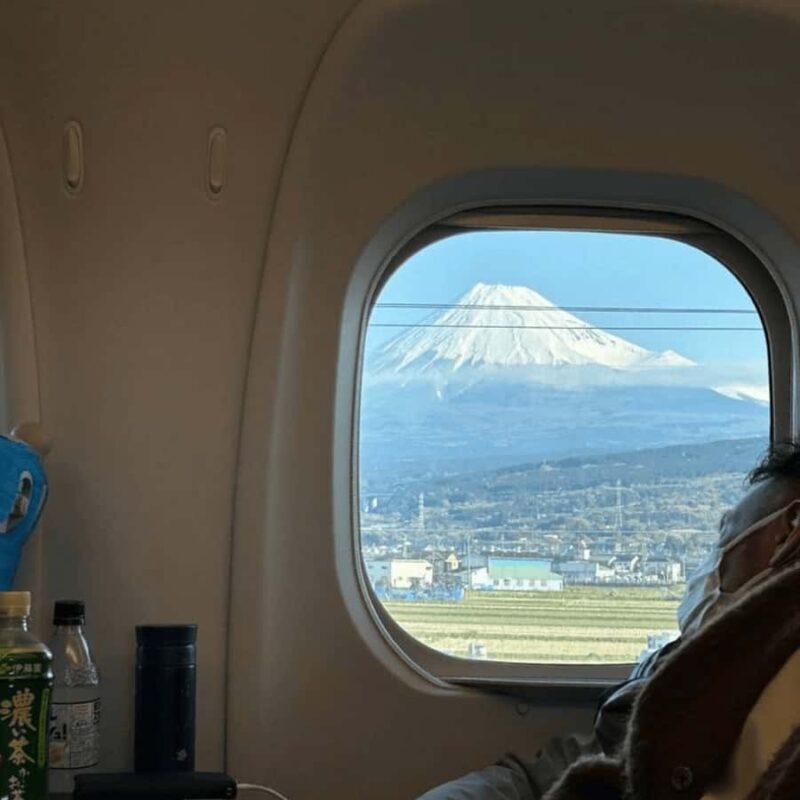 From Tokyo: Must-Visit Mount Fuji Highlight Full-Day Tour - Key Points