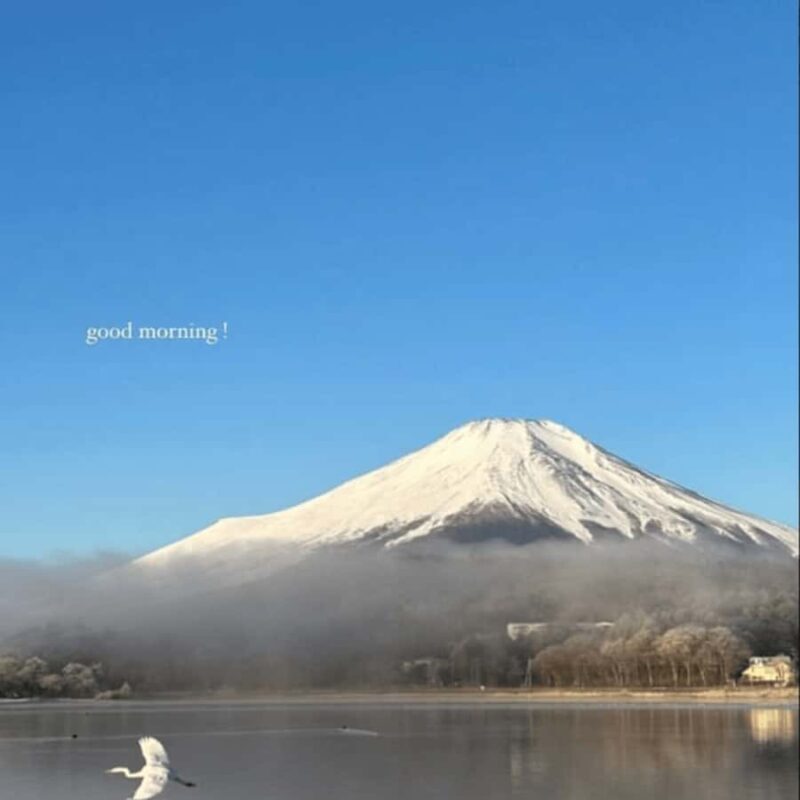 From Tokyo: Must-Visit Mount Fuji Highlight Full-Day Tour - FAQs