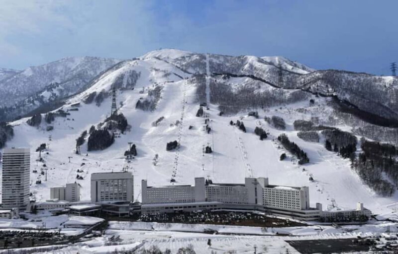 From Tokyo: Naeba Ski Resort Day Trip with Lift Pass - Who Will Love This Tour?