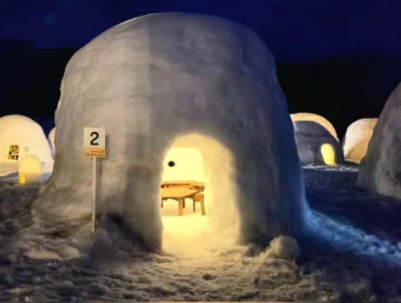 From Tokyo: Nagano Day Private Tour With English Driver - FAQ