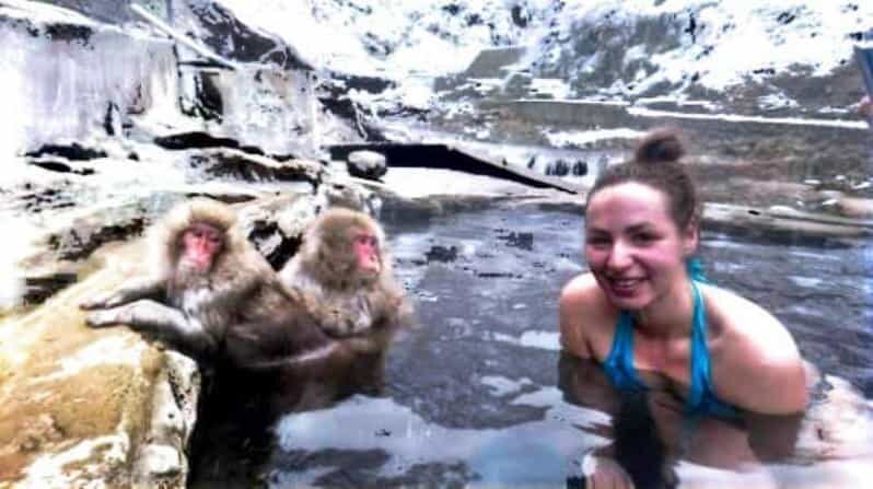 From Tokyo: Nagano Full Day Private Snow Monkey Park Tour - The Itinerary: What to Expect from Start to Finish